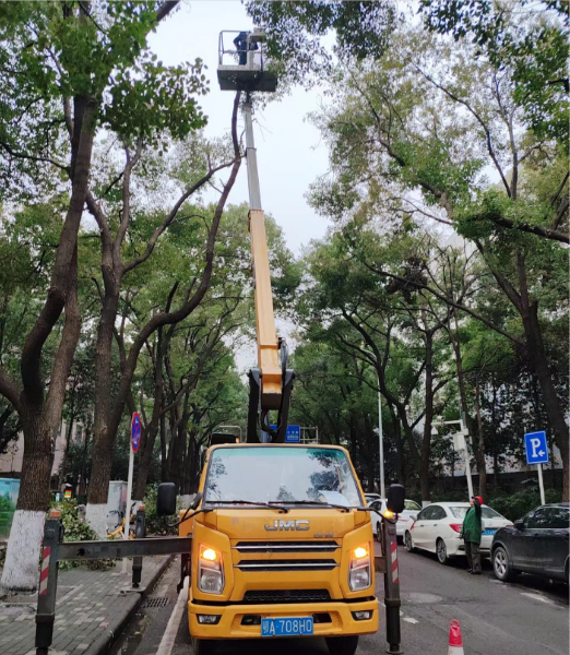 1710297918921.jpg 1710297918921.jpg