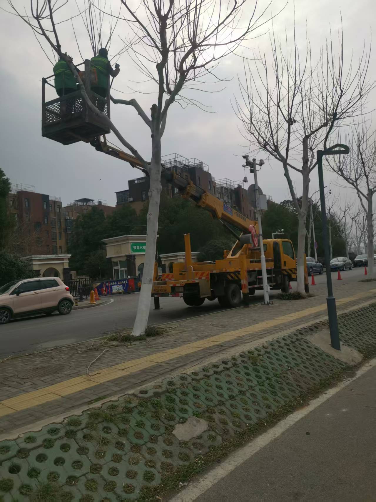 微信图片_20250221160021.jpg 微信图片_20250221160021.jpg