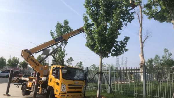 微信图片_20250423090831.jpg 微信图片_20250423090831.jpg