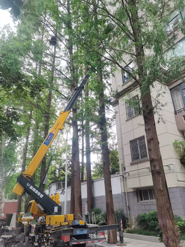 黄陂大量全新登高车出租，价格优惠、出车快